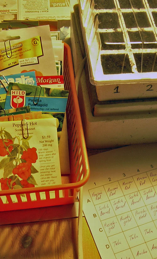 Nu er det tid at s� peber og chili