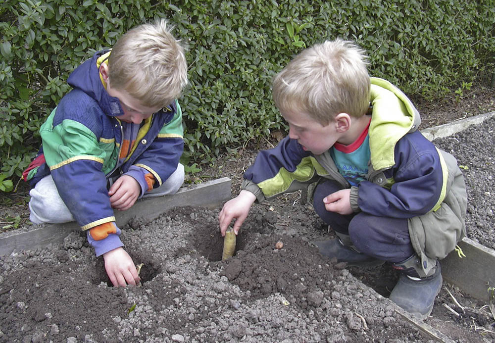 Toke og Aske guler�dder