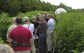 Rundvisning i Den �kologiske Have