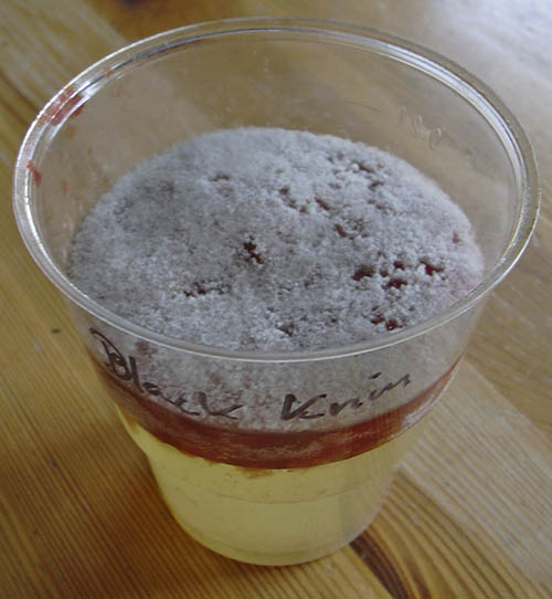 G�rede tomatfr�.