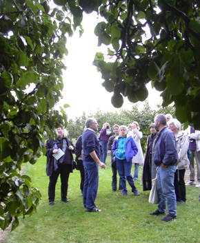 Bes�g p� Pometet