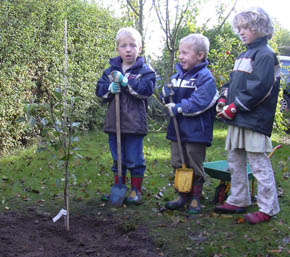 Guldborg �bletr�