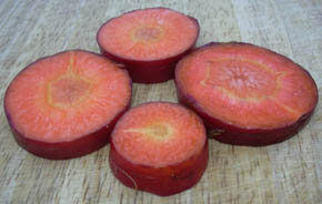 Gulerod, Purple Dragon