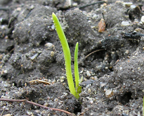 Radar efter�rsl�g