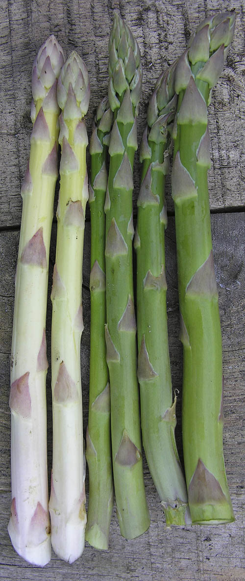 Gr�nne og hvide asparges