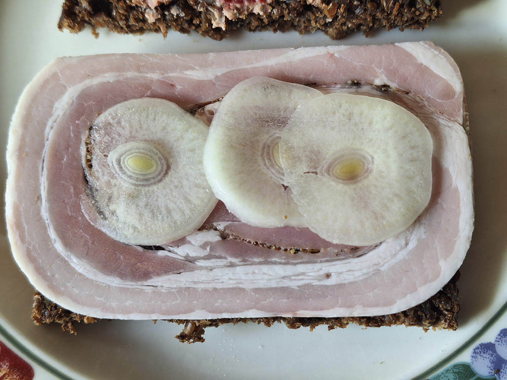 Rullep�lsemad med Babington porrel�g