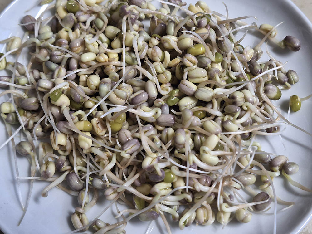 Tallerken med b�nnespirer