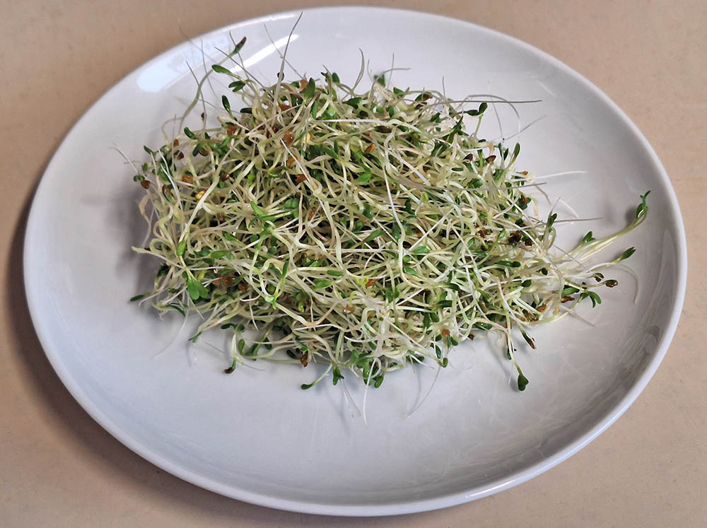 Lucernespirer p� tallerken