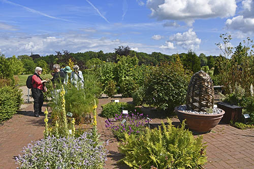 Hildegards have i Tranek�r