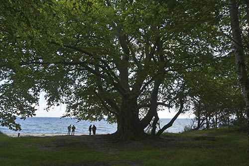 Oehlenschl�gers B�g