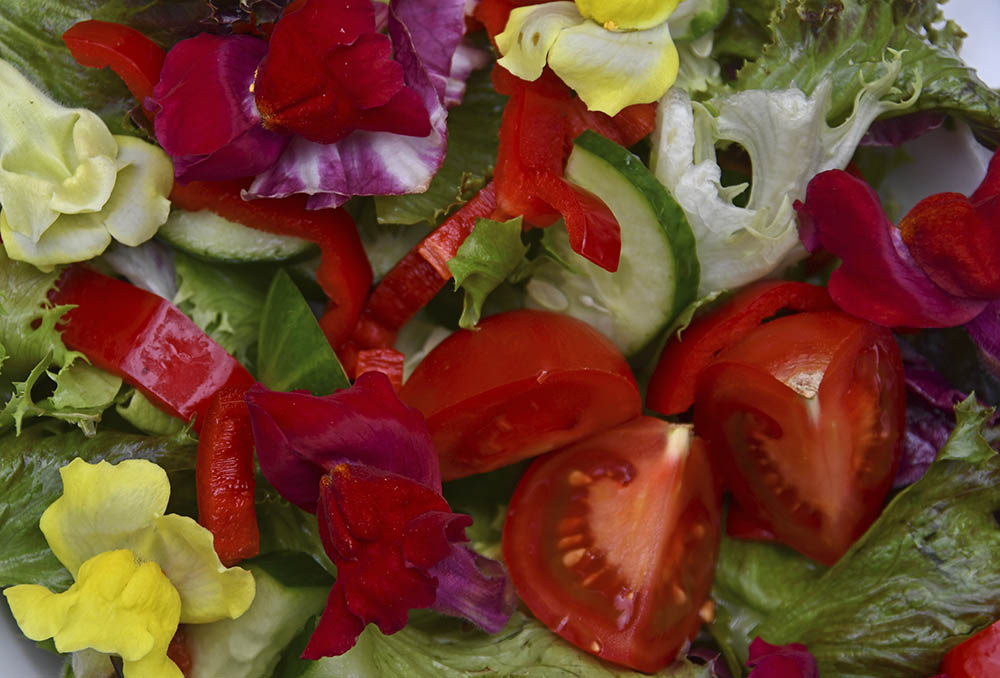 L�vemund blomster p� salat