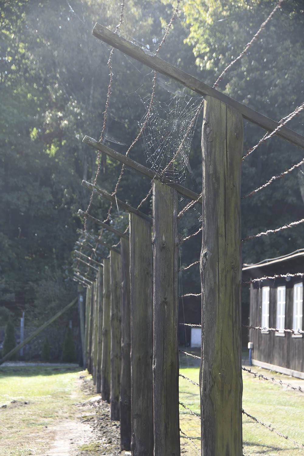 Pigtr�d om KZ-lejr