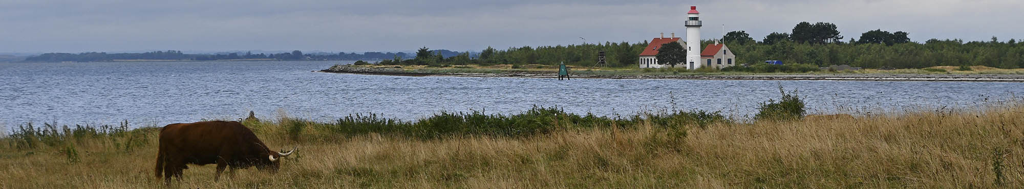 H�jlandskv�g og Eneb�rodde Fyr