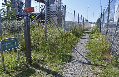 Indhegnet natursti i Nyhavn