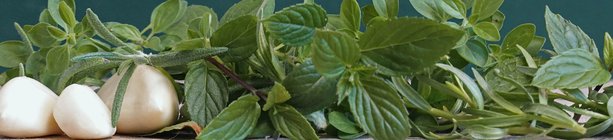 Hvidl�g og krydderurter
