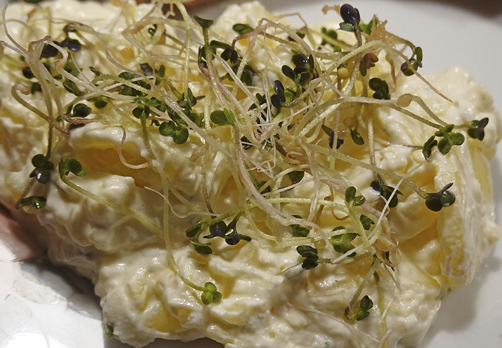 Gul sennep spirer p�kartoffelsalat
