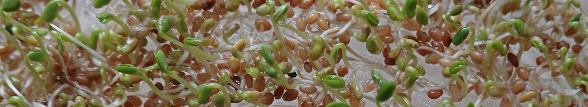 R�dkl�ver spirer