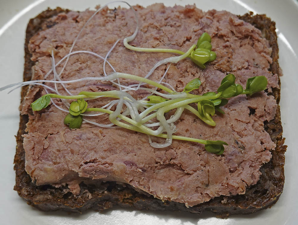 Japanr�ddike spirer