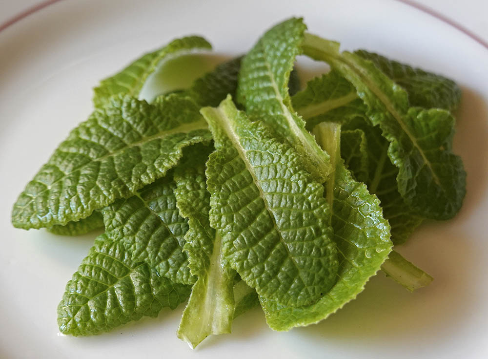 Storblomstret kodriver blade