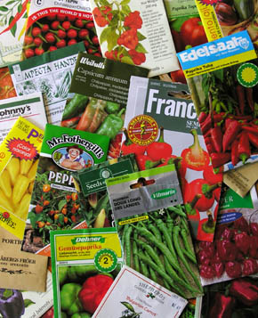 Fr�poser med forskellige chili- og peberfr�