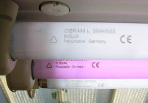 Floura og Biolux lysstofr�r.