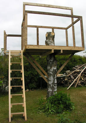 Huset i tr�et begynder s� sm�t at tage form