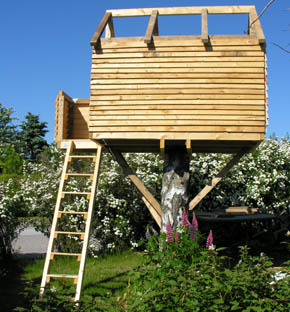 Huset i tr�et snart er f�rdigt