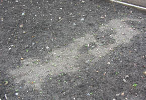 T�r plet hvor fr�tapetet er.