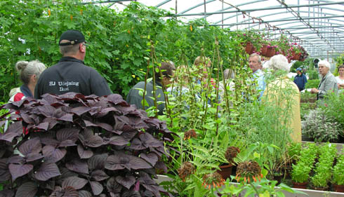 Fr�samlerne l�rer om vietnamesiske gr�nsagers dyrkning og anvendelse.