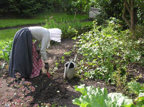 Jordb�r i frk. Wahlstr�ms have