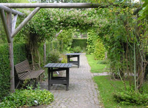 Fra krydder- og l�geurtehaven i Geografisk Have