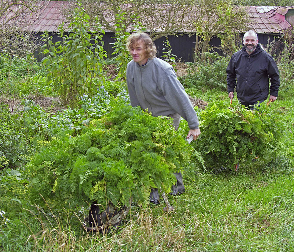 Niels og NO med guler�dder.
