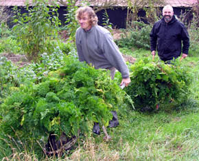 Niels og NO med guler�dder.