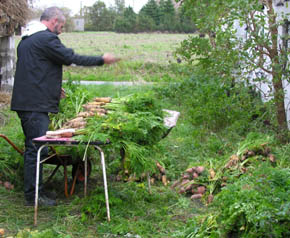 Sortering af guler�dder