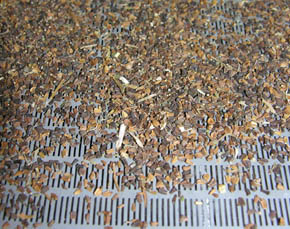 Rist til fr�rensning