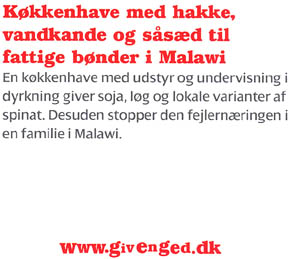 Giv en ged - k�kkenhave til Malawi