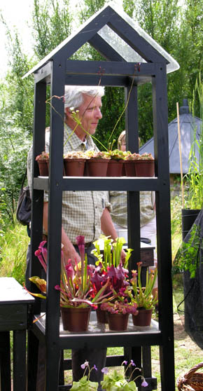 J�rgen Skouboe fodrer de k�d�dende planter