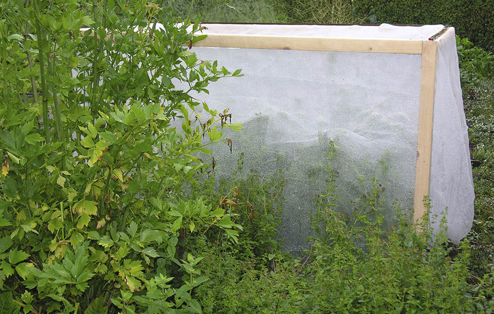 Bur af insektnet til fr�avl i isolation