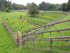 K�kkenhave i gedemark.