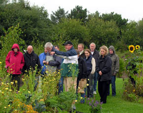 Rundvisning i Forundringens Have