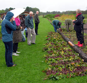 Fors�g med Maria Thuns s�kalender