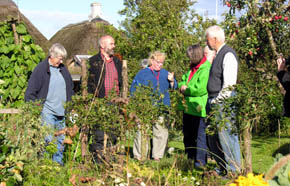 Fr�samlere i Mollys Have