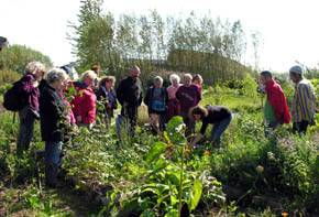 En have p� Friland