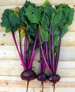 R�dbede Egyptische Platrunde