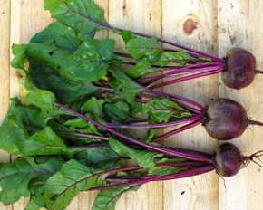 R�dbede Moulin Rouge