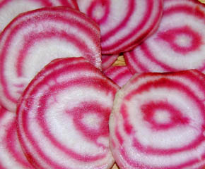 R�dbede Chioggio