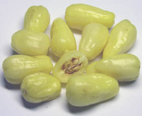 apsicum Chinense Haba�ero White