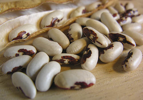 B�nne Old Fashioned Soldier