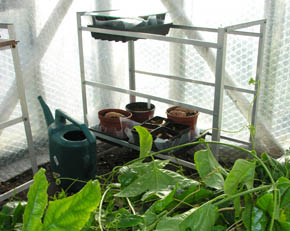 Der s�s i drivhuset