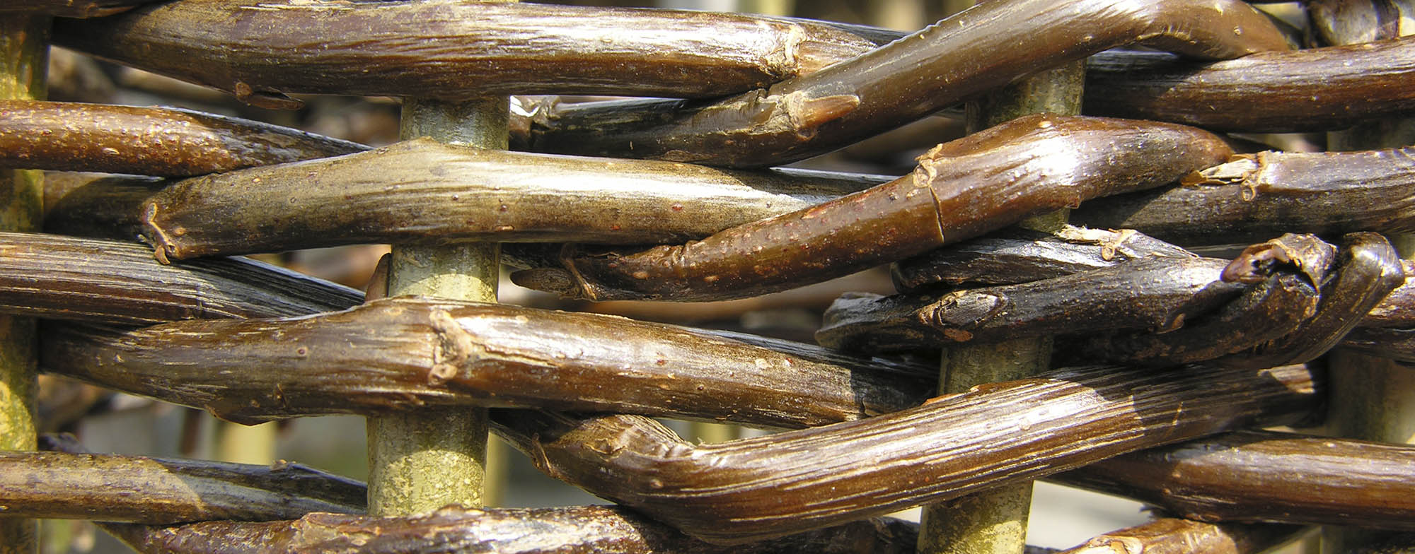 Detalje fra b�nnestativ af pileflet